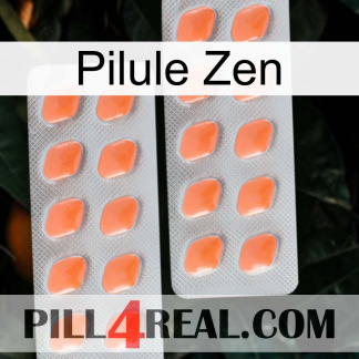 Zen Pill 27